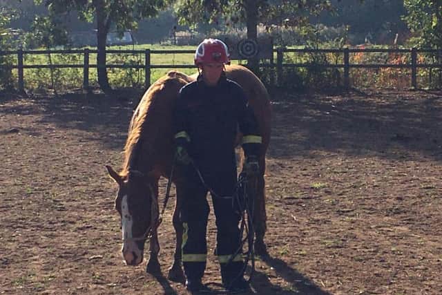 The horse was able to walk unaided after being saved from the mud. Photo: Oxfordshire Fire and Rescue Service