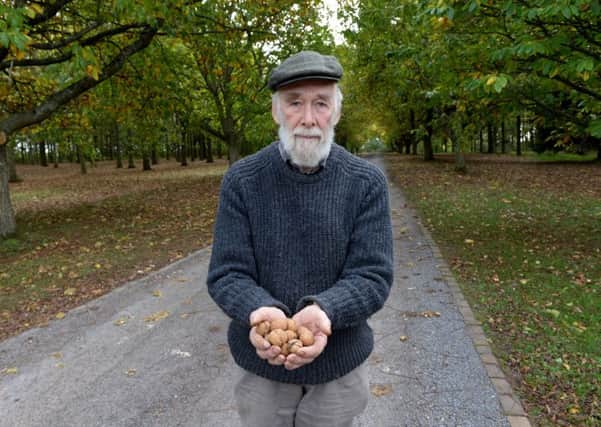 David Barbour of Heath Farm, Swerford, Banbury, had crop of walnuts stolen. NNL-181023-124022009