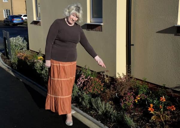 Diane Monaghan has a problem with dog fouling outside her home in Longford Park, Banbury. NNL-181113-140050009