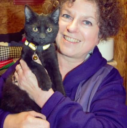BARKS chair Ann Collins with a kitten on its way to a new home NNL-181231-092355001