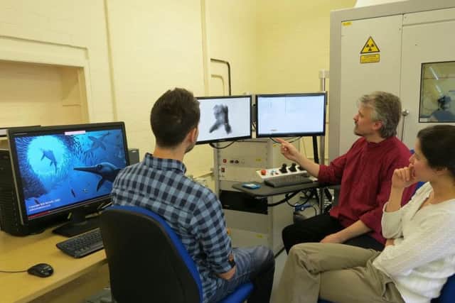 Computerised tomography (CT) scanning technology was used to analyse the fossil