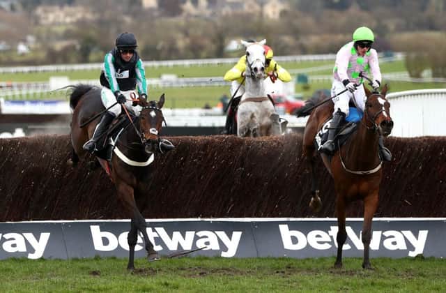 Altior and Nico de Boinville clear the last to win the Betway Queen Mother Champion Chase at Cheltenham. Photo: Michael Steele/Getty Images