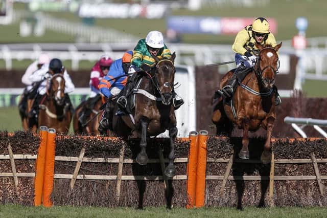 Barry Geraghty and Buveur D'Air on their way to winnning the Unibet Champion Hurdle from Melon at Cheltenham. Photo by Alan Crowhurst/Getty Images