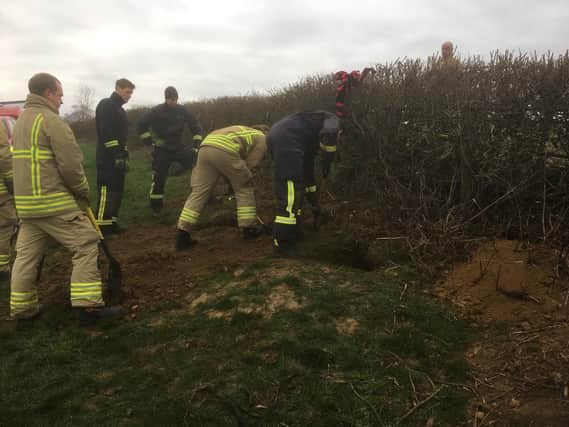 Oxfordshire Fire and Rescue Service were called to help locate and rescue the trapped dogs
