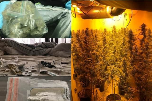 A selection of the drugs, plants and paraphernalia found by officers during the crackdown. Photos courtesy of Thames Valley Police