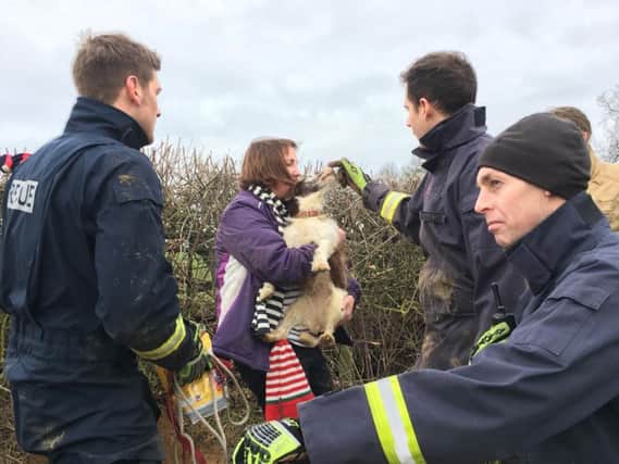 A relieved owner with her dog after being rescued by firefighters. Photo: Oxfordshire Fire and Rescue Service
