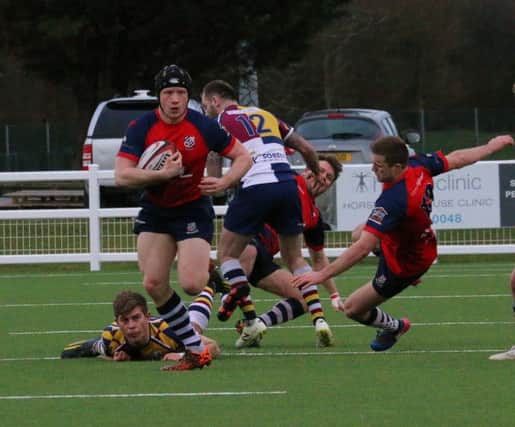 Banbury Bulls' Matt Powell comes away with the ball during Saturday's success at Oxford Harlequins. Photo: Simon Grieve