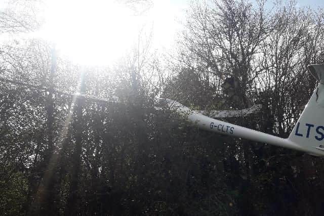 The pilot was uninjured after trees slowed down the glider (courtest South Central Ambulance Service)