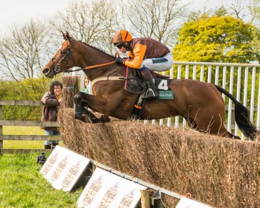 The Jaffna Queen and Sam Waley Cohen on their way to winning the restricted race at Monday's Warwickshire Hunt meeting at Mollington. Photo: Neale Blackburn Photography Chasdog.com