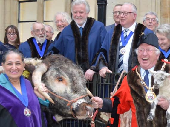 Watched by town councillors, new deputy mayor Cllr Surinder Dhesi (left) takes the bull by the horns while new mayor Cllr John Colegrave cradles one of his lambs.