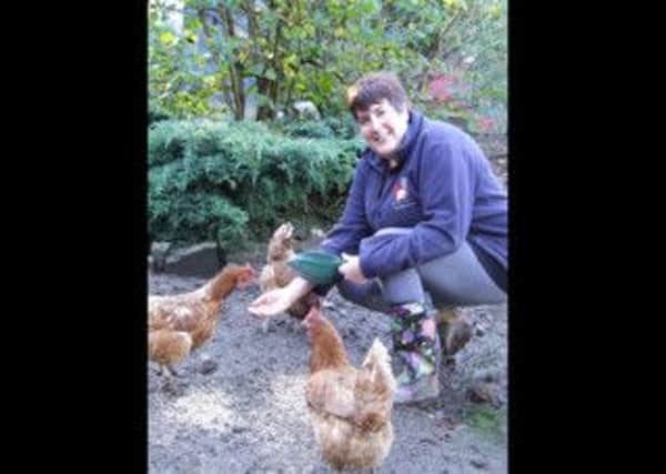 Gaynor Davies, logisitics co-ordinator for the British Hen Welfare Trust PNL-141108-171729001