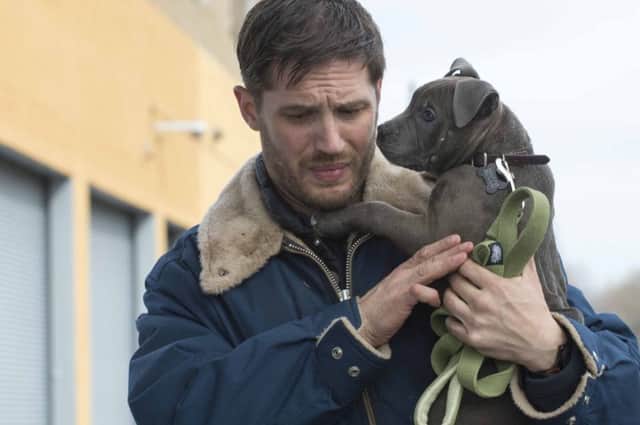 Tom Hardy and dog in The Drop
