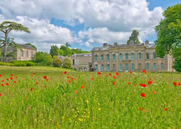 The wildflower meadow at Compton Verney