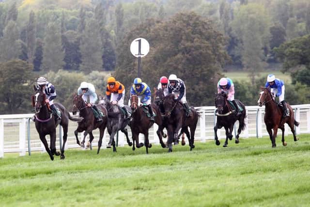 Get your daily racing tips with BetVictor