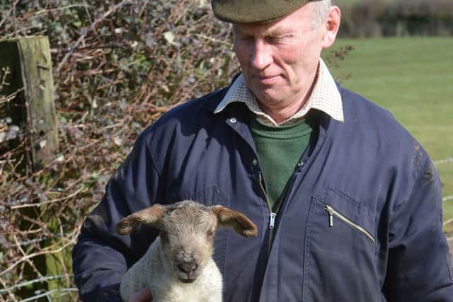 Farmer, Andy Taylor, from North Newington. Week-old lambs. NNL-160103-173708009