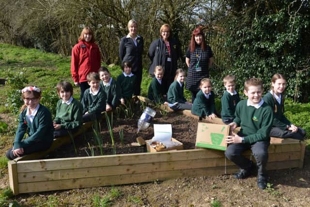 Bracken Leas Primary School. Brackley, Waitrose Grow and Sell Scheme. At the back, from the left, Linda Inns, eco leader, Jane Shoesmith, Jacqueline Cavalla, Waitrose and Isobel Dearsley, eco leader. Children from the eco club from all years and at the front is Billy Lathbury who helped to make the raised bed. NNL-160322-171708009