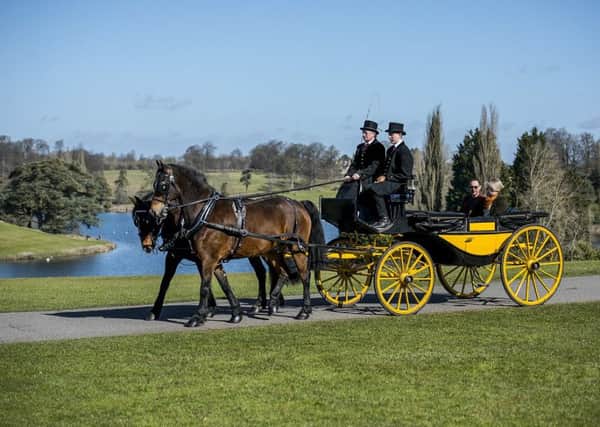Capability Brown Carriage Rides at Blenheim Palace