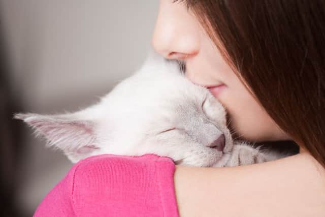 Cuddling cats may be deadly, according to new research.