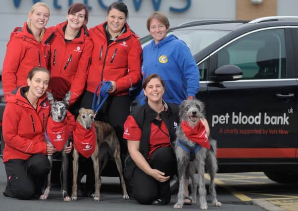 Pet Blood Bank UK