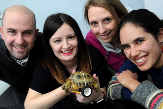 Vince the tortoise lost a leg and was given a Lego wheel instead at Vets4Pets, Banbury. From the left, Nathan Allen, tortoise engineer, Kara Paynton, owner, Mel Boughton, vet nurse and Rosie Waters, vet. NNL-160612-185743009