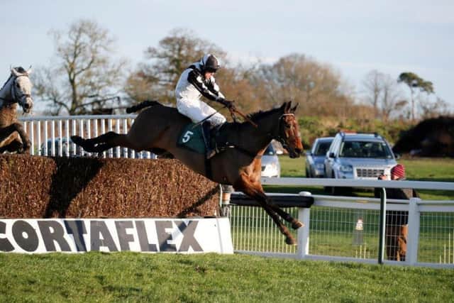 Sunny Ledgend (James Martin), seen here winning at Towcester in January, lines up at the Northants track today for Swerford trainer Andrew Martin. Photo: Gavin James