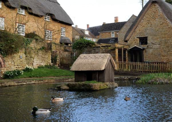 The newly thatched duck house on the pond in Wroxton. NNL-170321-132644009