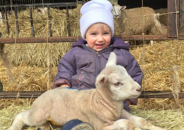 Hadsham Farm is holding a lambing event over the Easter holidays